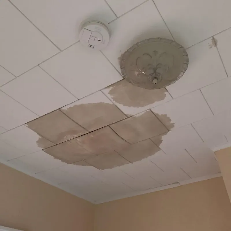 Ceiling Water Damage Repair in Berne, IN