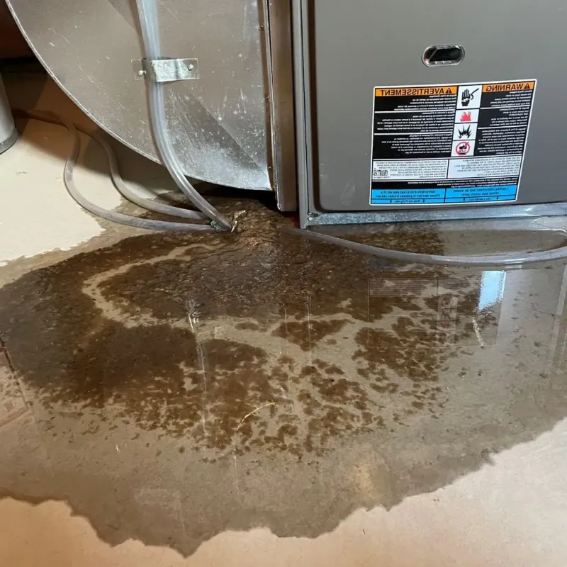 Pipe Burst and Leak Restoration in Berne, IN